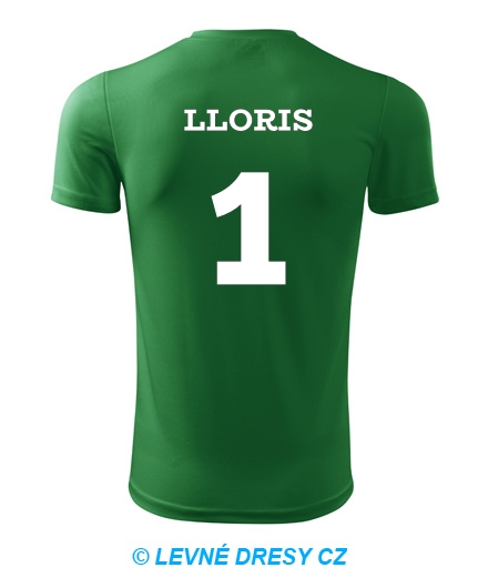 Dres Lloris